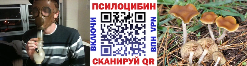 Псилоцибиновые грибы Psilocybine cubensis  Очёр 